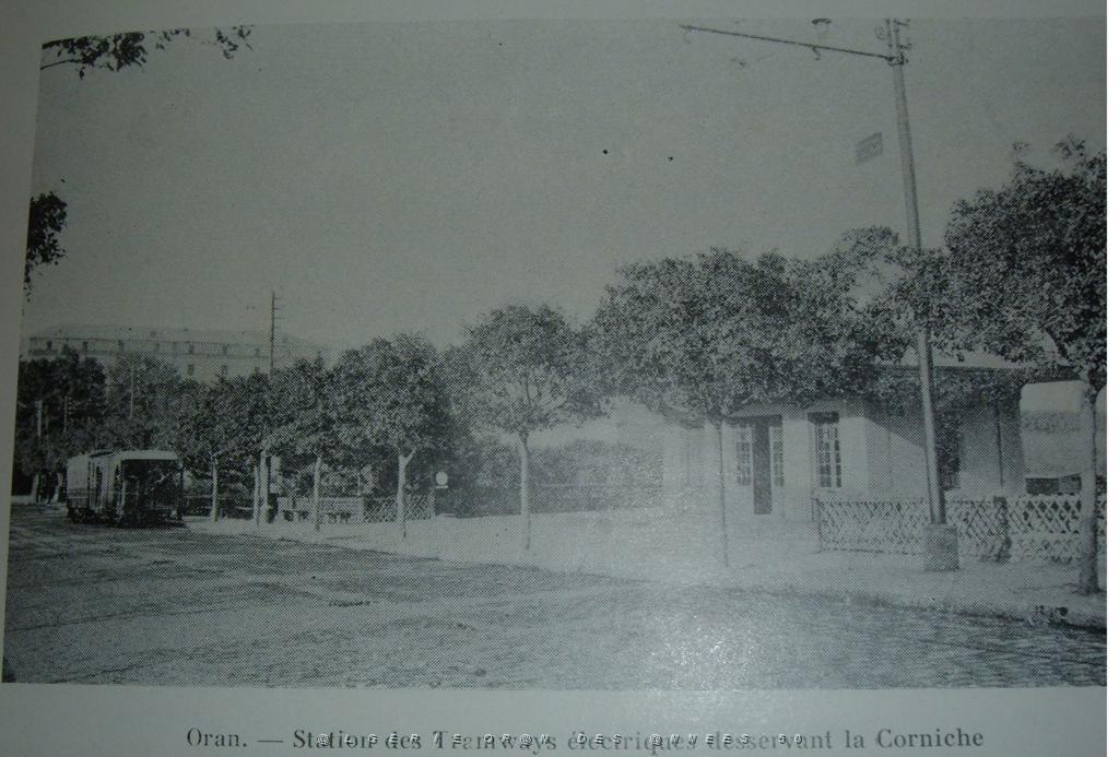 TRAMWAYS DESSERVANT LA CORNICHE ORANAISE.JPG